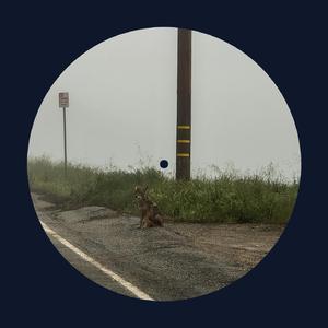 日本性生活视频
