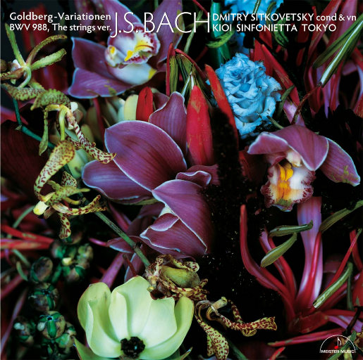 日本性生活视频
